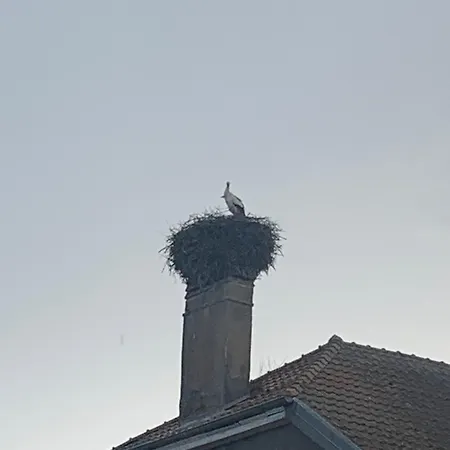 Spacieux 120 Metres Carre Confort